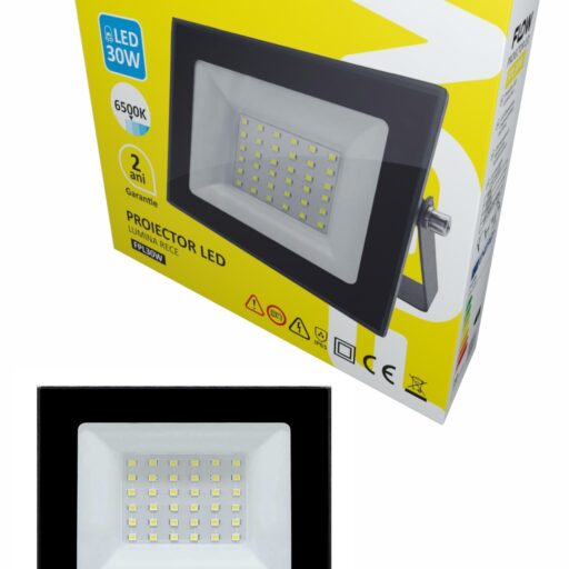 Proyector LED Flow FPL30 W, 30 W, 6500K luz fría